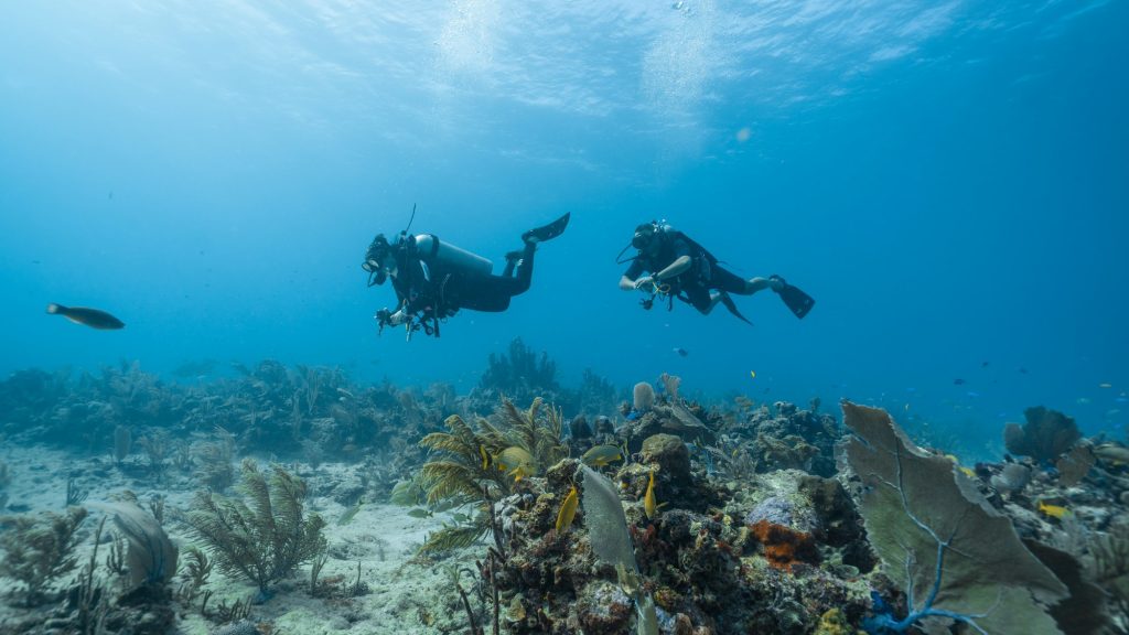 The loving couple dives among corals and fishes in the ocean