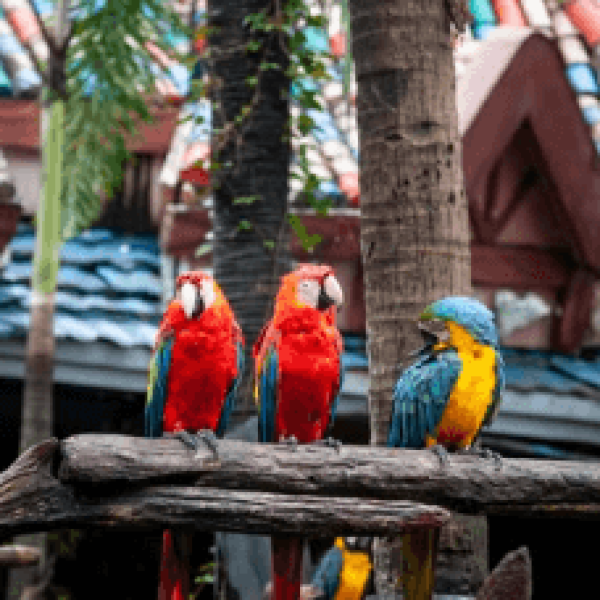 Screenshot 2024-11-21 010134