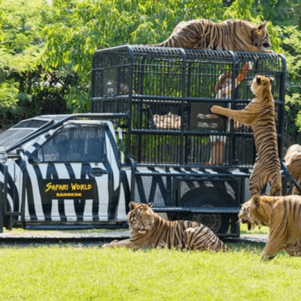 Screenshot 2024-11-21 010258