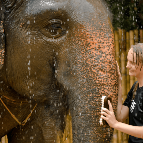 Screenshot 2024-11-21 011519