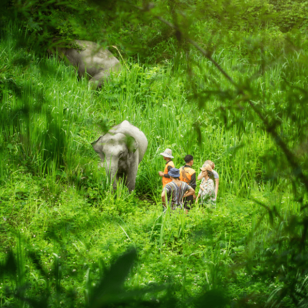 Screenshot 2024-11-21 011548