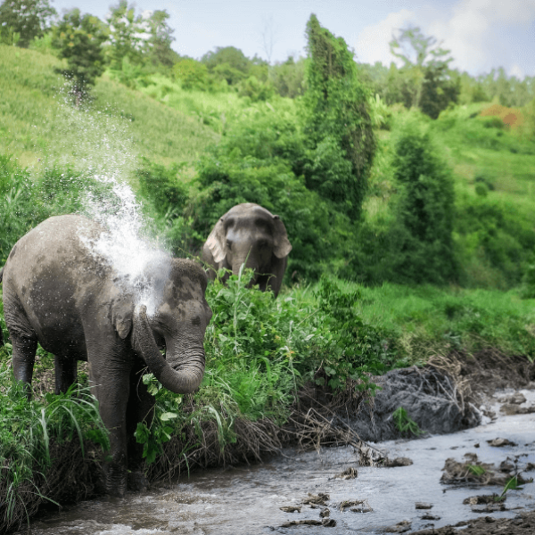 Screenshot 2024-11-21 011602