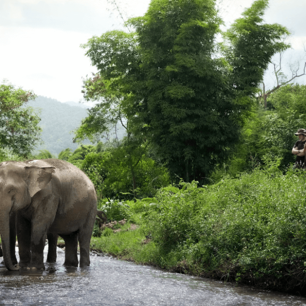 Screenshot 2024-11-21 011614