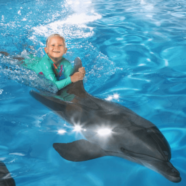 Screenshot 2024-11-21 194247