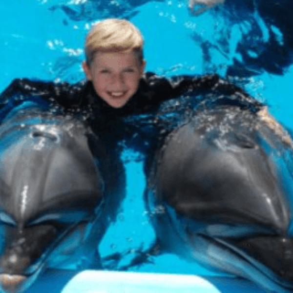 Screenshot 2024-11-21 194306