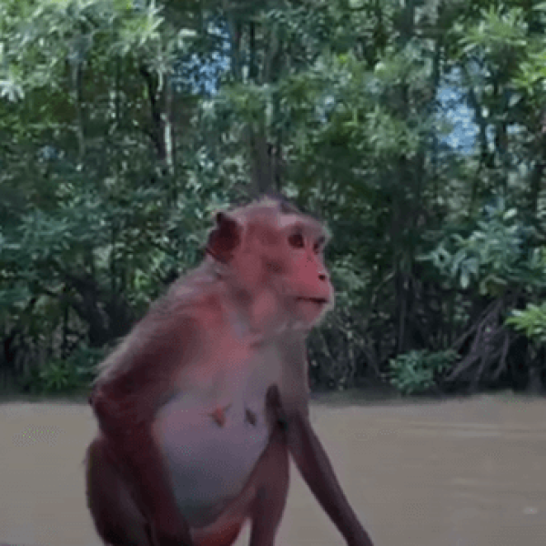 Screenshot 2024-11-27 033005