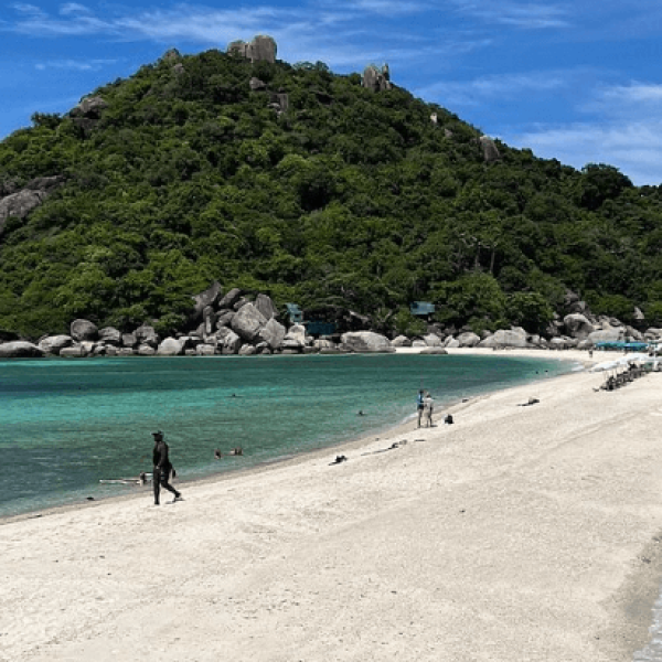 Screenshot 2024-11-27 035308