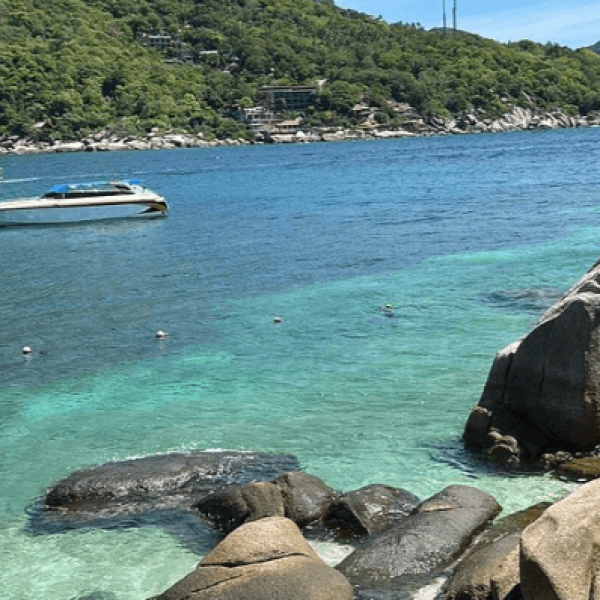 Screenshot 2024-11-27 035325