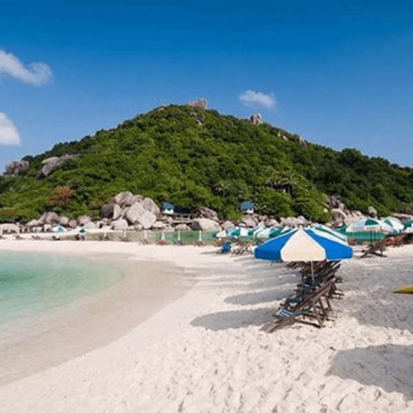 Screenshot 2024-11-27 035352