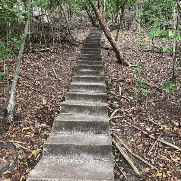 Screenshot 2024-11-27 035456