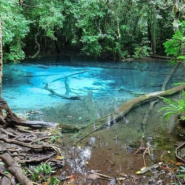 una-delle-immagini-che